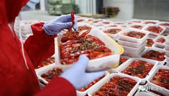 中國人民大學(xué)盱眙龍蝦美食品鑒活動成功舉辦