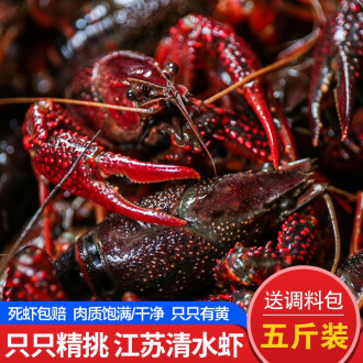 清水龍蝦與專業龍蝦調料的完美融合